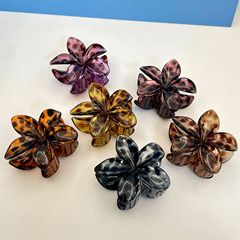 優楽佩豹紋の卵の花は国境を越えた花を挟んで髪を挟みます。