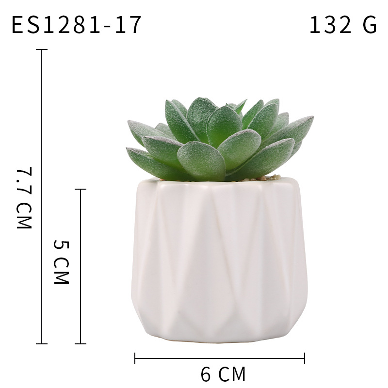 Pequeña ola al por mayor taza tipo simulación planta suculenta nórdico Muebles de Oficina Decoración fresca nuevo producto