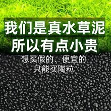 ˮ�����~���쾰��ɰ���ʷN�ӷNֲˮ���ɳ�ݸ���ϴ����ˮ�|