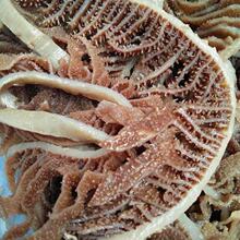 新鲜黑白千层毛肚牛百叶装商用火锅串串食材牛肚杂冰鲜包邮批发