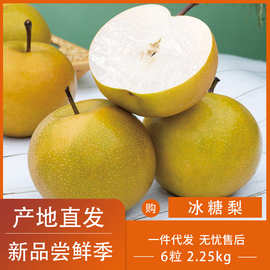 山东莱阳冰糖梨子脆甜多汁新鲜水果4.5斤产地直发