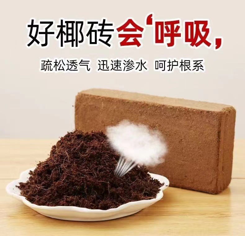 b2eb2566-95fc-40d7-be8d-fcabceabf06b.jpe