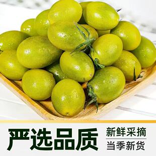 ����S�C7ɫС����ä���}Ů����S���f�߲�С�����S�C5~7ɫ