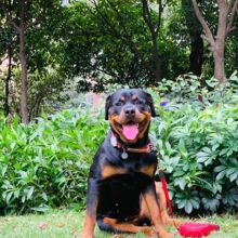 ��ϵ�_���{��Ȯ���w����С�������_���{����Ȯ�����o�lȮ���N����