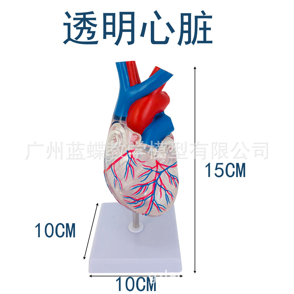 ��Ȼ��͸������ģ�� �����׼�������ģ��B���ʳ��ɲ�жҽѧ��ѧ