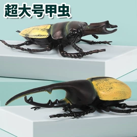 动植物仿真;其他益智玩具;考古挖掘玩具