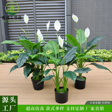 仿真白掌室内客厅橱窗现代风装饰塑胶白鹤芋高端假绿植一帆风顺