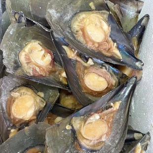 �뚤��������������뚤������ؐ�����ӾGؐ���r����ʳ�Î�������