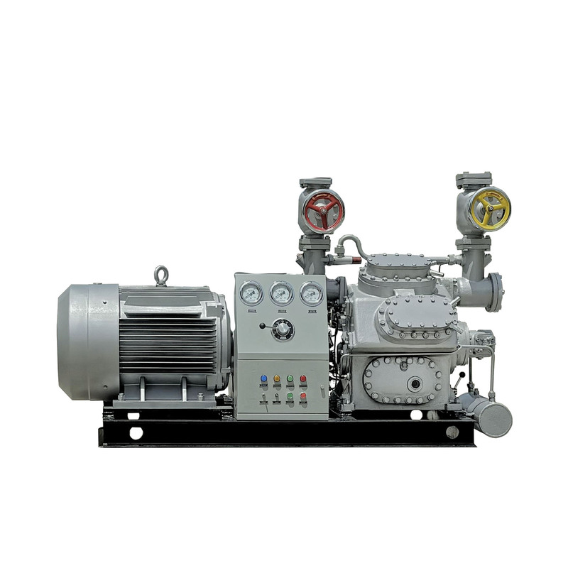 Bingshan 100 Series Piston Ammonia Refrigeration Compressor Dalian Ice Freezing Machine Ice Cube Machine