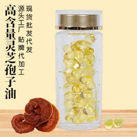 灵芝孢子油软胶囊厂家现货代发批发孢子粉萃取高含量破壁草本