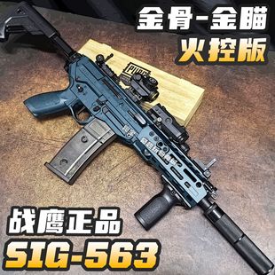 ����SIG563��ذ�����B��CSͻ��������ߘ�������wargame�l����