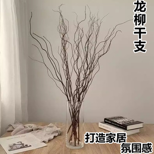干支龙柳干花树枝高级感侘寂风天然禅意民宿客厅插花干枝装饰摆件-阿里巴巴