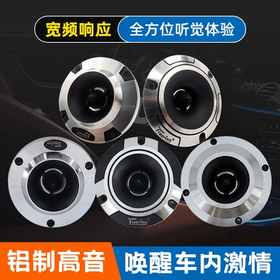 Audio Tweeter: Changxiang Car horn/tweeter
