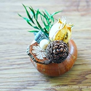 Natural Plant Dried Flower DIY Creative Gift Home Car Ornaments Children's Group Building Handmade Creation