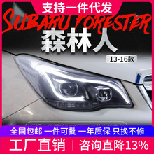 �m���13-18��˹����ɭ���˴�����ɸ��bled���П��p͸�R믚���