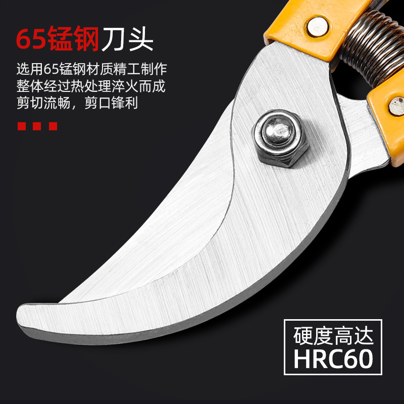 scissors stainless steel