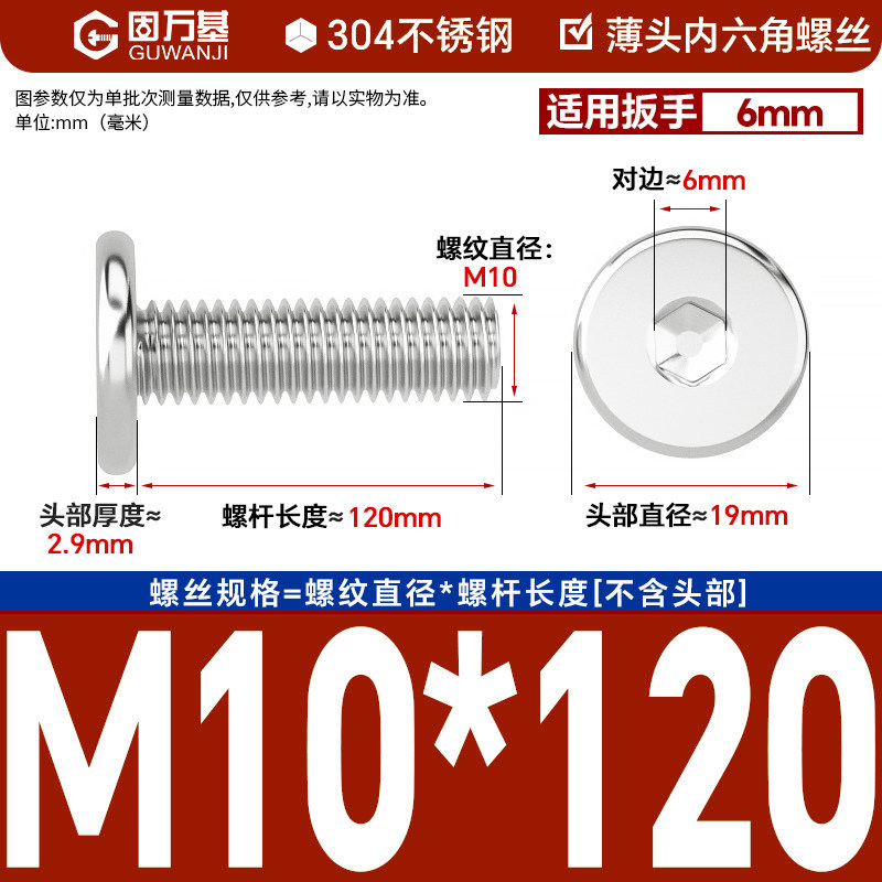 304 M10*120