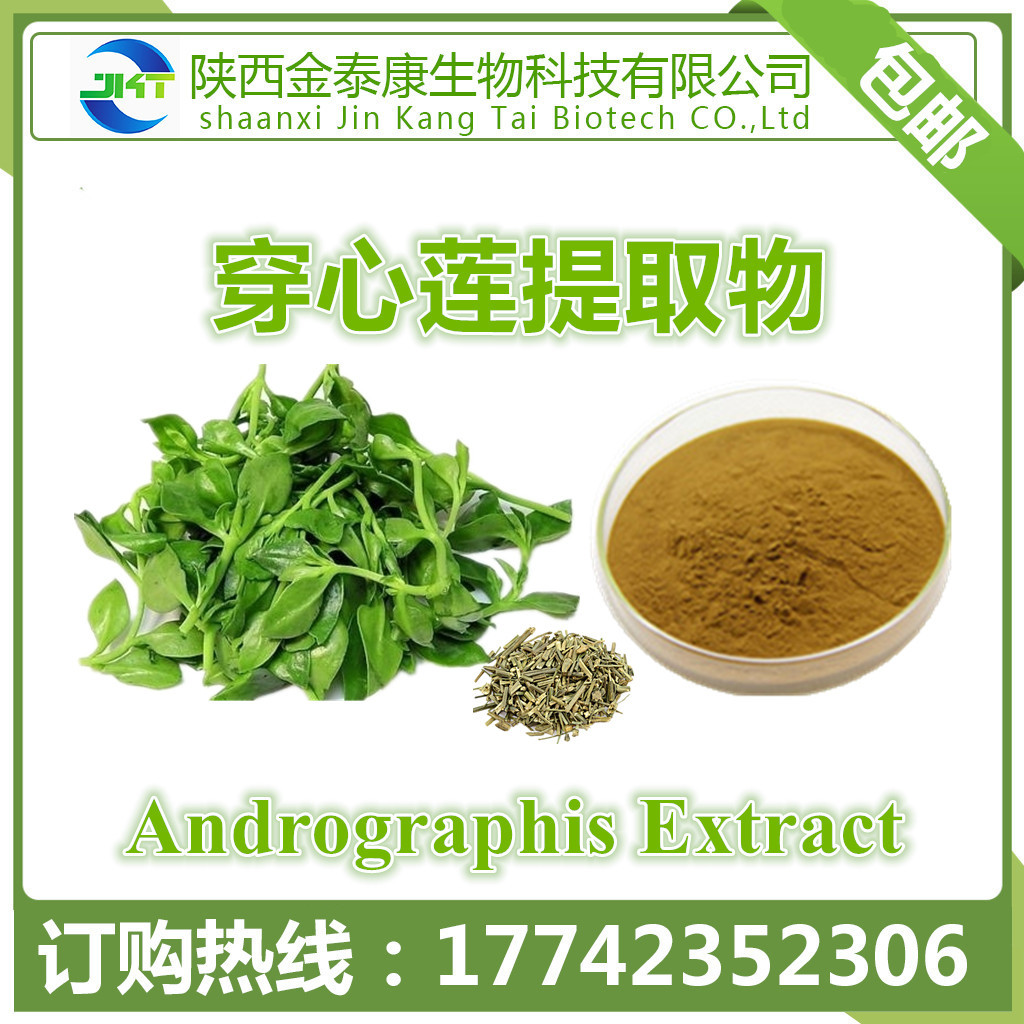 穿心莲提取物 穿心莲内酯10% Andrographolide 穿心莲乙素超微粉|ms