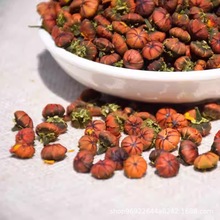 ½ѩ̥ծaɽҰtѪ̥շɽҰջ