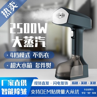 Handheld Garment Ironing Machine, Household Small Steam Electric Iron, Portable Ironing Machine, Dormitory Ironing Artifact, Cross-Border Iron