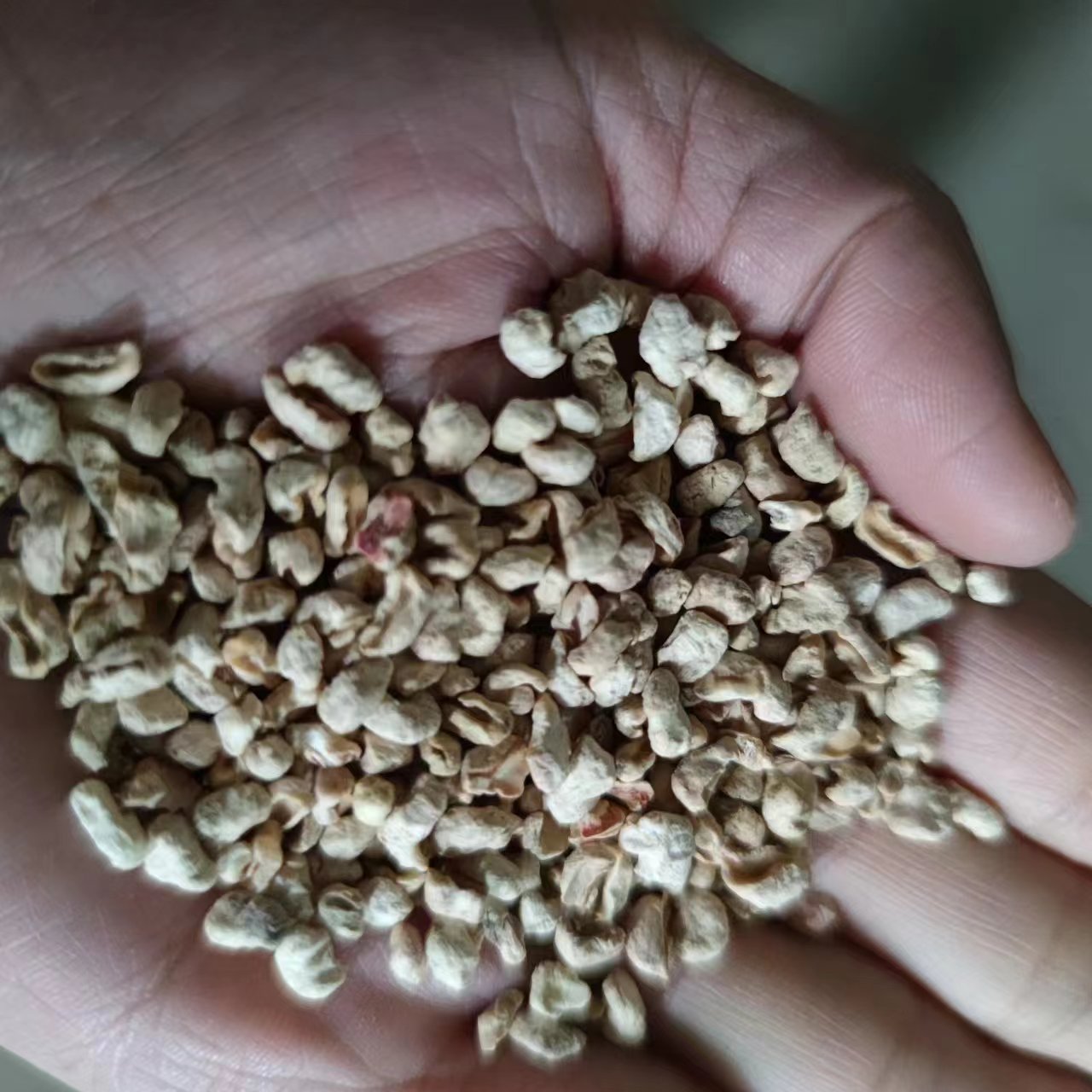 微信图片_20230211091230