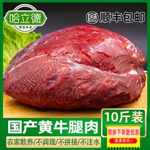 10斤清真鮮牛肉新鮮國產原切牛后腿肉魯西散養黃牛健身牛腱子商用