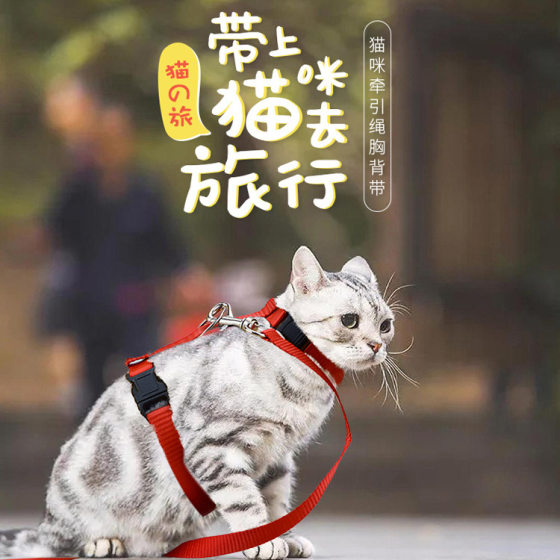 Spot cat leash I-shaped optional color Walking cat leash cat leash pet chest strap cat chain cat traction