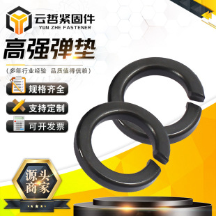 Ƹߏȏ|  8.8lڏ||Ȧ  Ӻ_ڏɉ|Ƭ |Ȧ