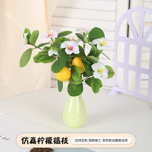 �羳���晎�ʻ�����֦�¾Gֲ�ٻ��~�[���L���JȔ���h��cˮ���b�