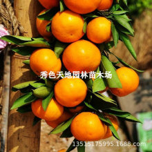 ���٘����Rˮ����ɰ���ٽ�������Ӽ޽���o�����ӹ����箔��Y��