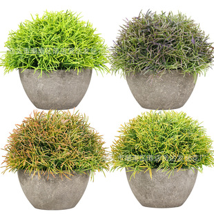 �������� �羳�����x�ݷ������԰�A��Ȼ���⼈�{������ֲ���辰
