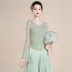 古典舞身韵蝴蝶纱衣专业艺考形体服时尚中国风舞蹈服装上衣
