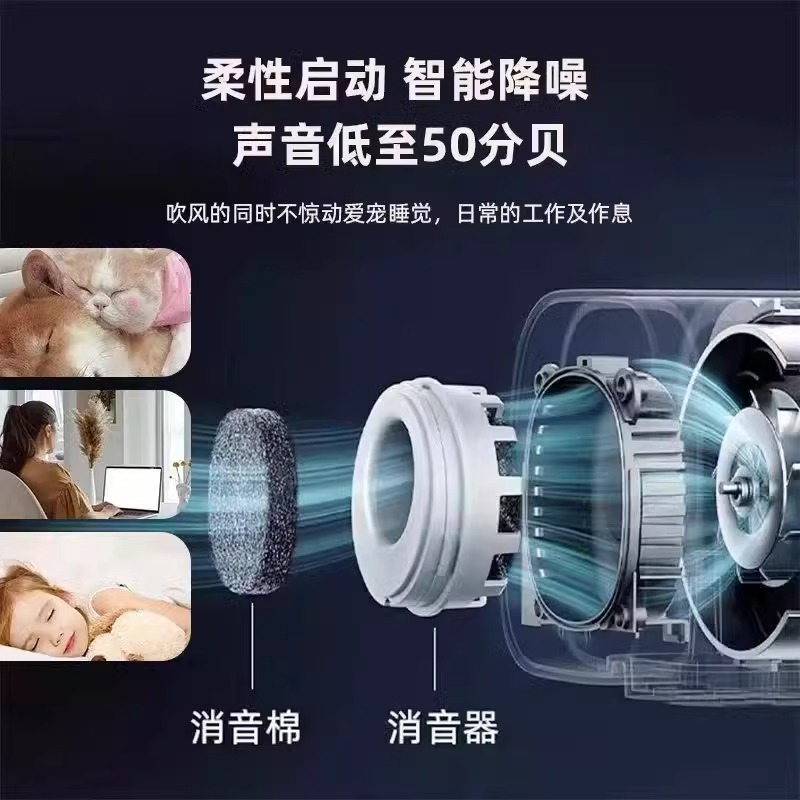 Фен-компрессор Chunzhou BS-2400 синий
