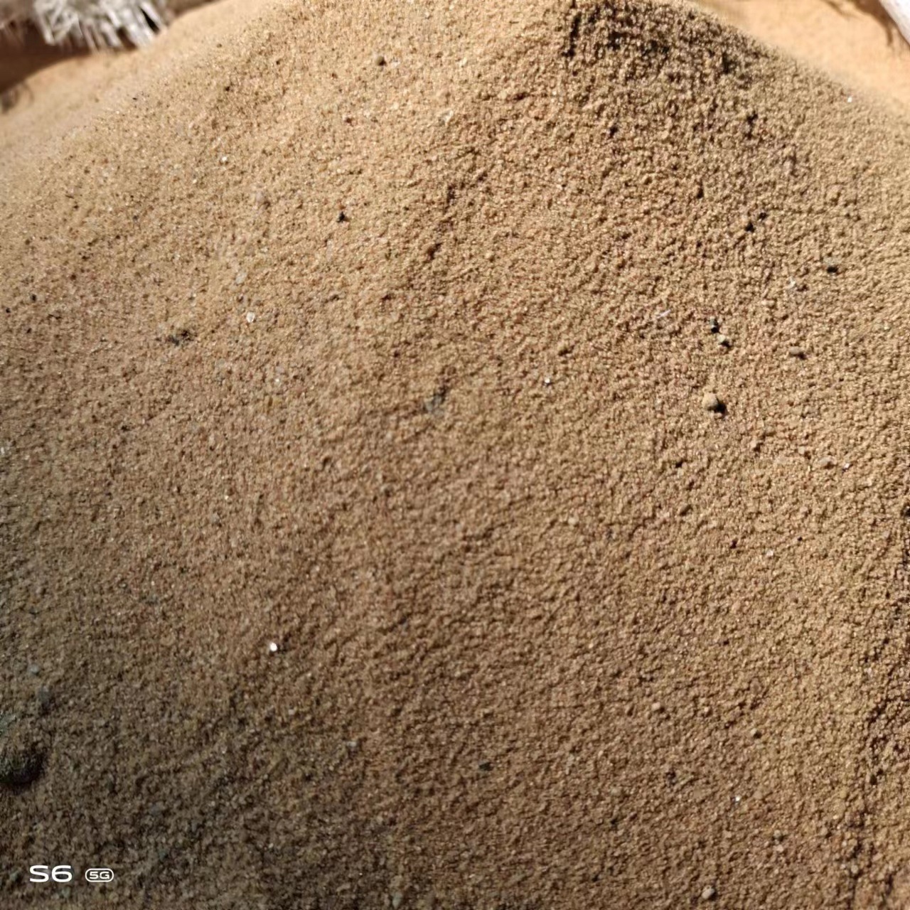 沙子1