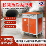 燃气养护蒸汽机柴油混凝土蒸汽养护机箱电加热燃气燃油蒸汽发生器