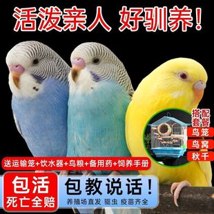 ��Ƥ�W�^����B���P�W�^���w�Bĵ���W�^���fԒ���W�^�����B�W�^