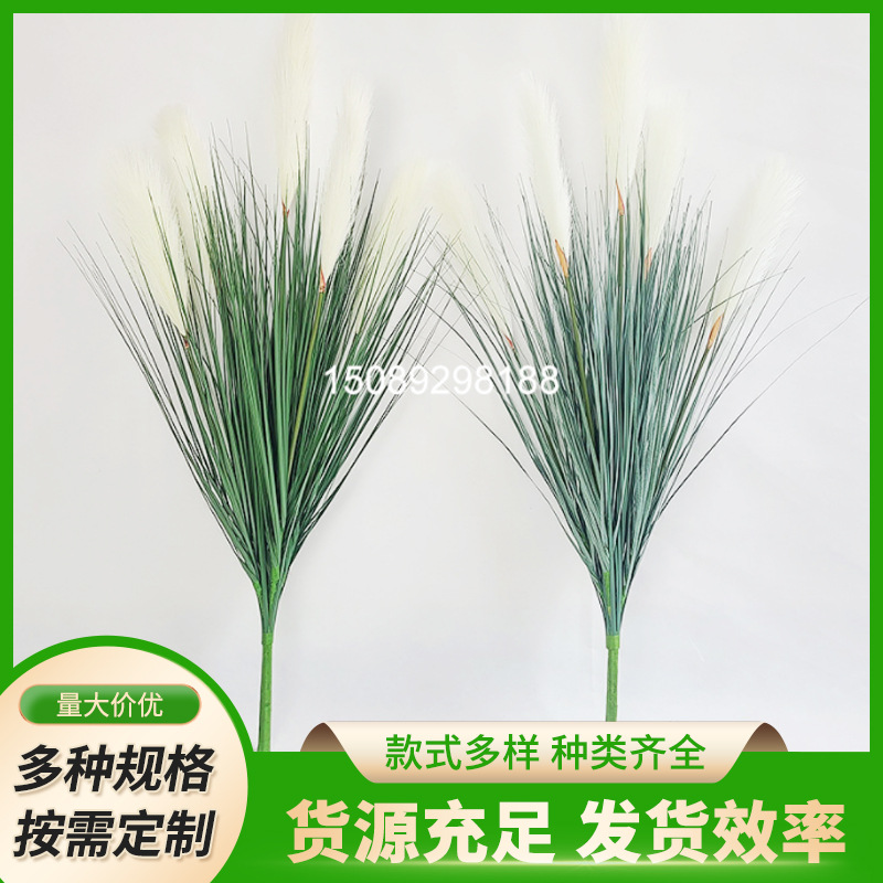 厂家直销仿真芦苇洋葱狗尾草单枝5头芦苇干花仿真花