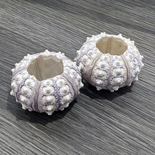 ��Ȼ��đ���f�ҟ����Tᔟ��\��đ��4-9���׿՚��P��Ҿ��b����l