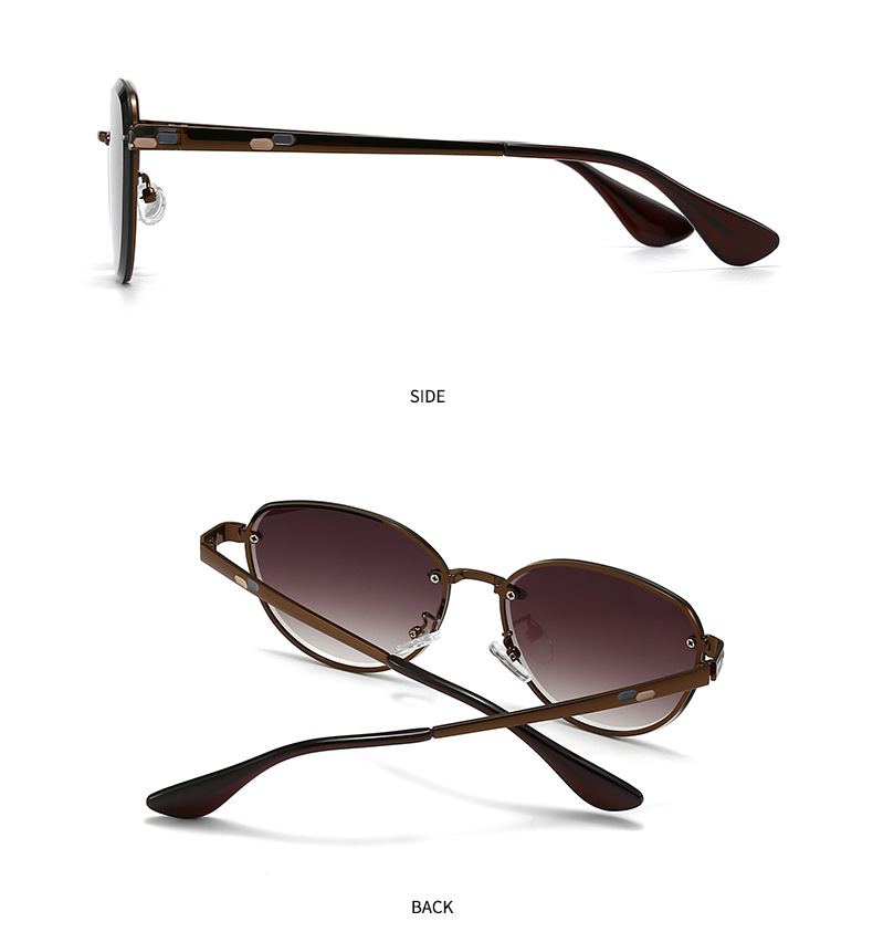 European and American Modern Retro Narrow Sunglasses High-End Women's Ins Style Sunglasses Versatile Trendyy Sunglasses 2506_voghion.com