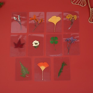 Dried Flower Bookmarks, Real Plant Embossed Specimens, Handmade DIY Materials, Leaves, Teaching Materials, Plastic Transparent Bookmarks