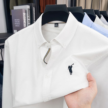 纯棉男士长袖衬衫春秋季商务休闲牛津纺保罗百搭易打理免烫衬衣男