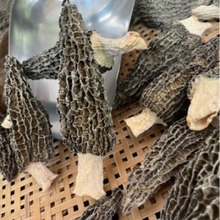 新品头茬中朵50G羊肚菌 青川高山干货精选羊肚蘑香味很好非云南货