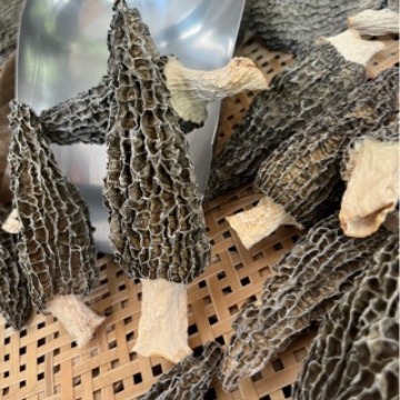 2024 new goods 50G Morel mushroom Dry selection 500g Morel mushroom aroma Well Yunnan