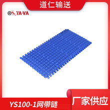 厂家直供 塑料YS100-1  12.7节距输送网带 输送机配件 模块网带链