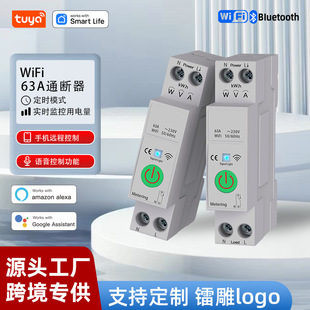 Tuya Smart 63A Switch Wifi Voice Timing Leakage Circuit Breaker Smart Home Meter Power