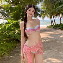 2025�¿���L�Ը������~�Ȼ�����������Ӿ��ŮС�ؾ۔n���u�ȼ�