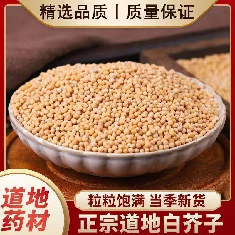 Bai Jie Zi (Sinicu White Mustard Seed) — Dried Food Herb for Tea & Powder overview