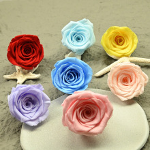 һ�����������aA��������Сõ��ζ�3-4cm�ֹ�diy�b��в�����