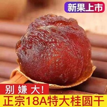 桂圆干桂圆干龙眼肉干厚壳薄核小莆田桂圆干批发