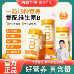 诺特/兰德多种维生素B族片72片复合血橙B族升级款新一代B族现货